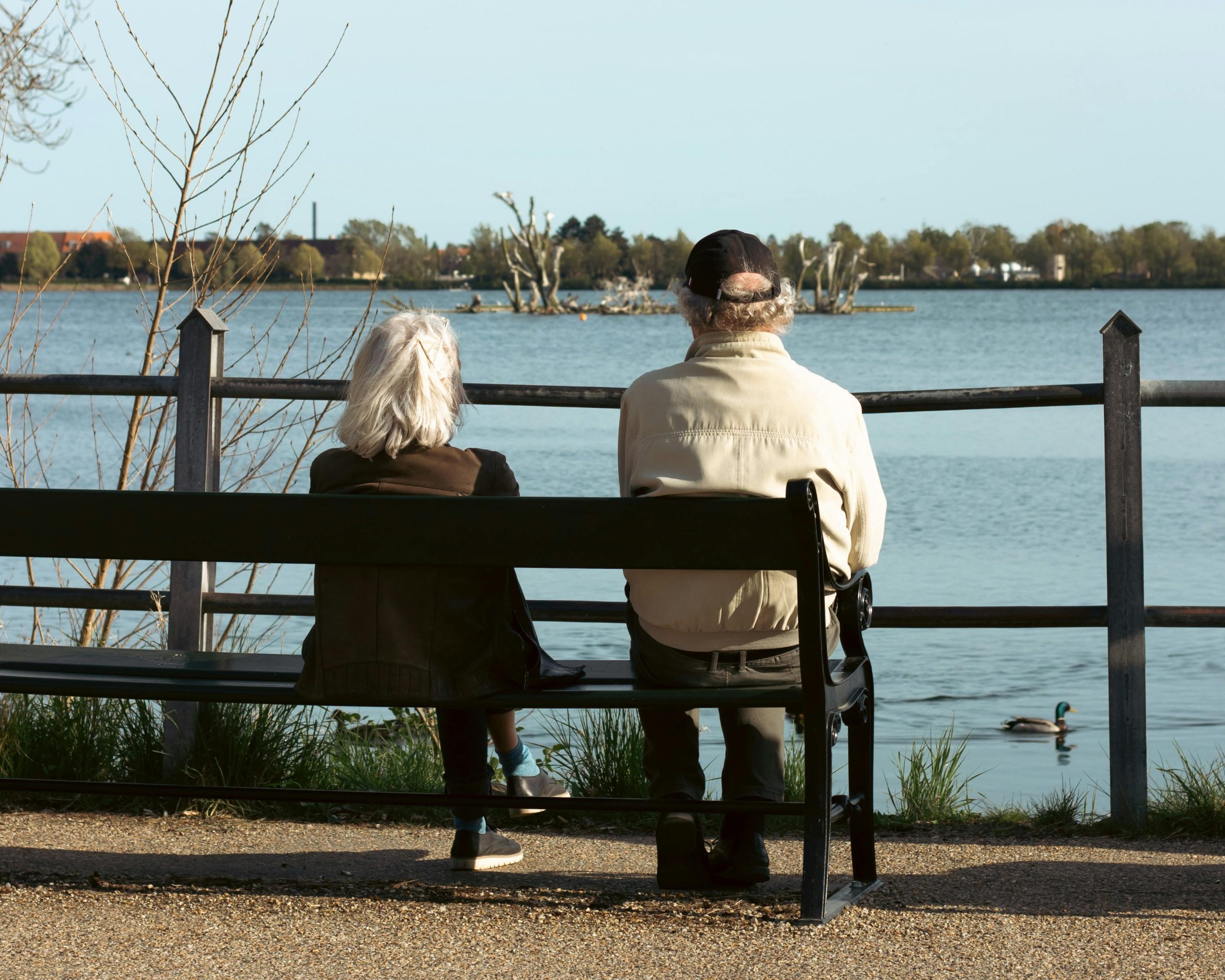 Testamento Vital: Garanta Seu Futuro com Segurança e Respeito às Suas Vontades